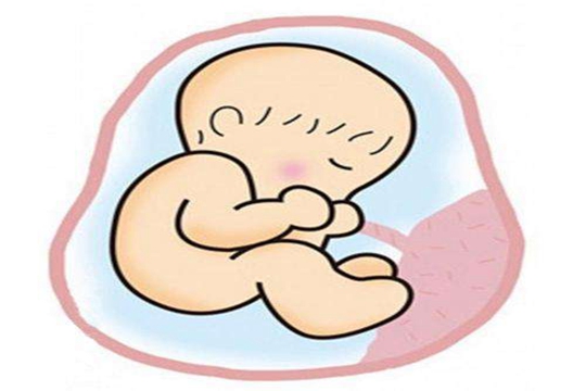 试管婴儿取了空卵泡怎么办？原因是什么？